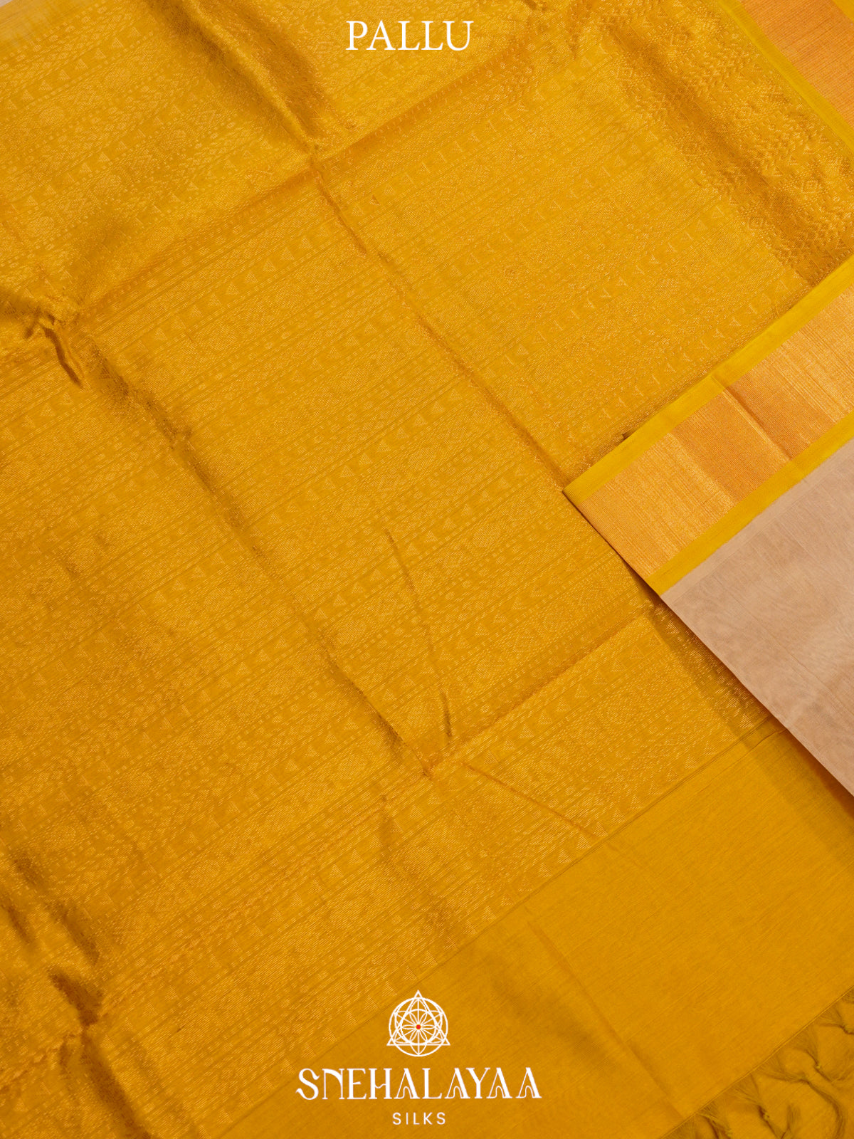 Cream Kanchi Silk Cotton Saree