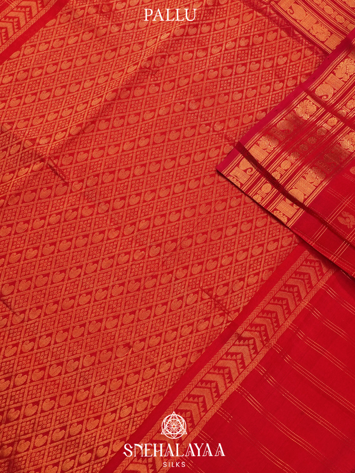 Red Kanchi Silk Cotton Saree