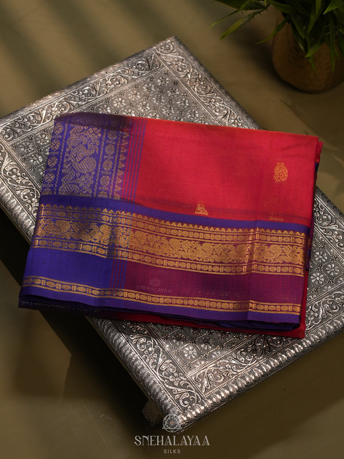 Ruby Red Kanchi Silk Cotton Saree