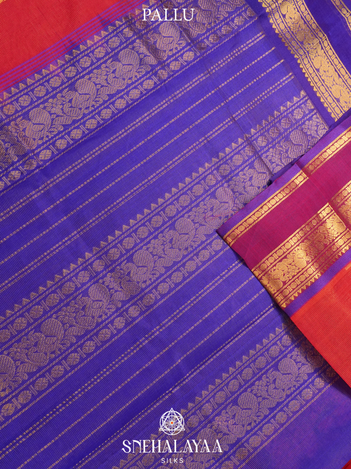 Ruby Red Kanchi Silk Cotton Saree