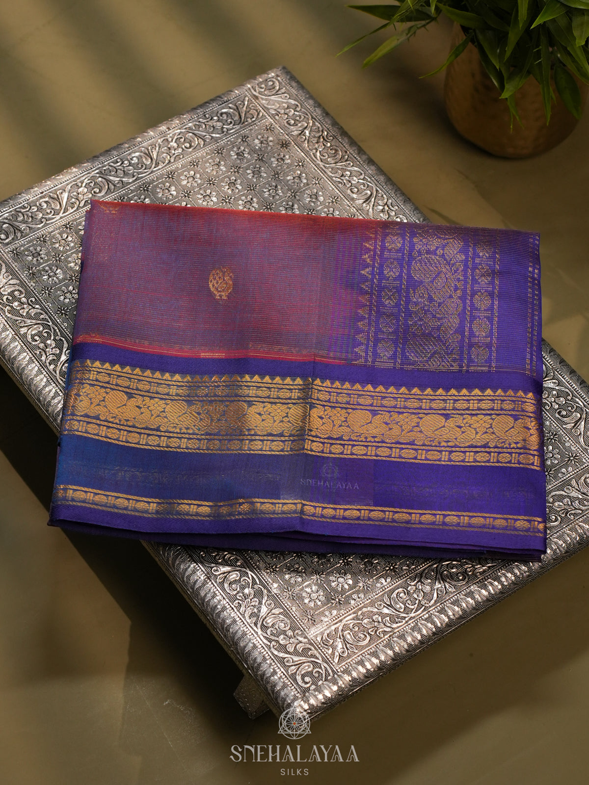 Purple Kanchi Silk Cotton Saree