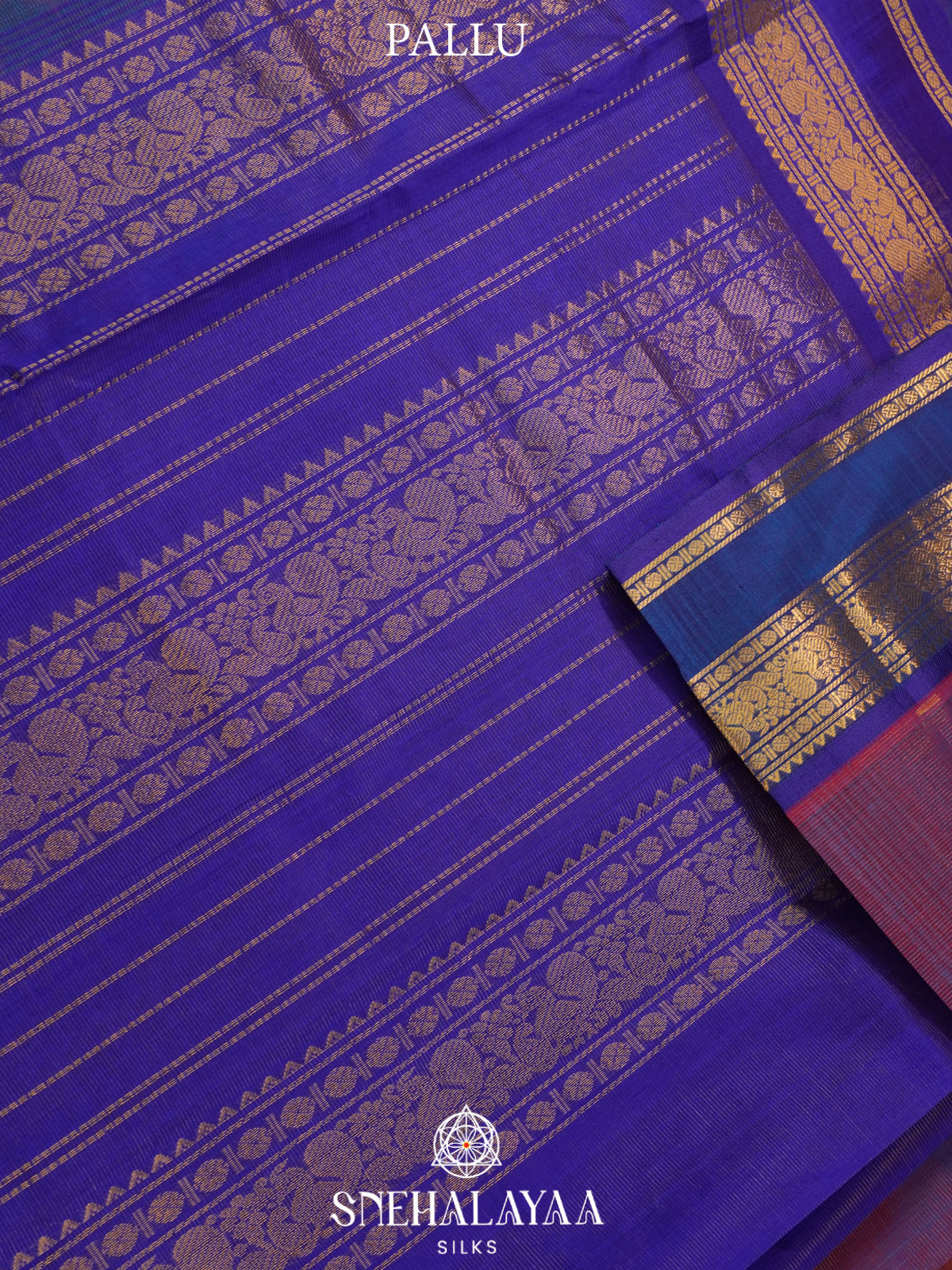 Purple Kanchi Silk Cotton Saree