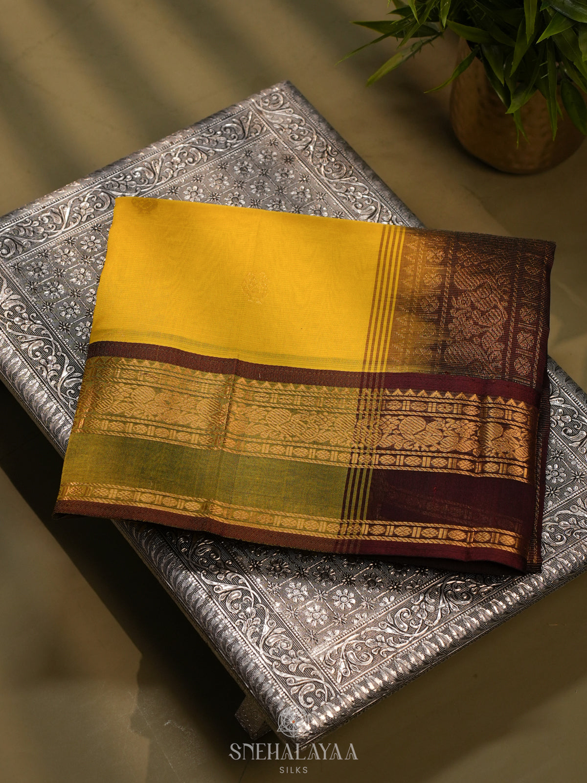 Mango Yellow Kanchi Silk Cotton Saree