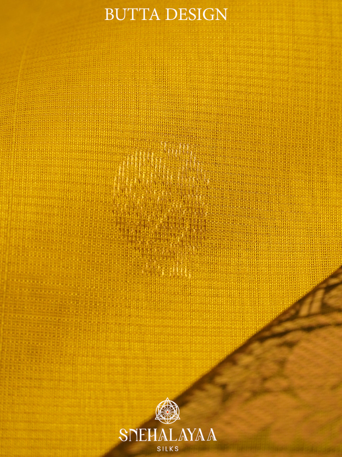 Mango Yellow Kanchi Silk Cotton Saree