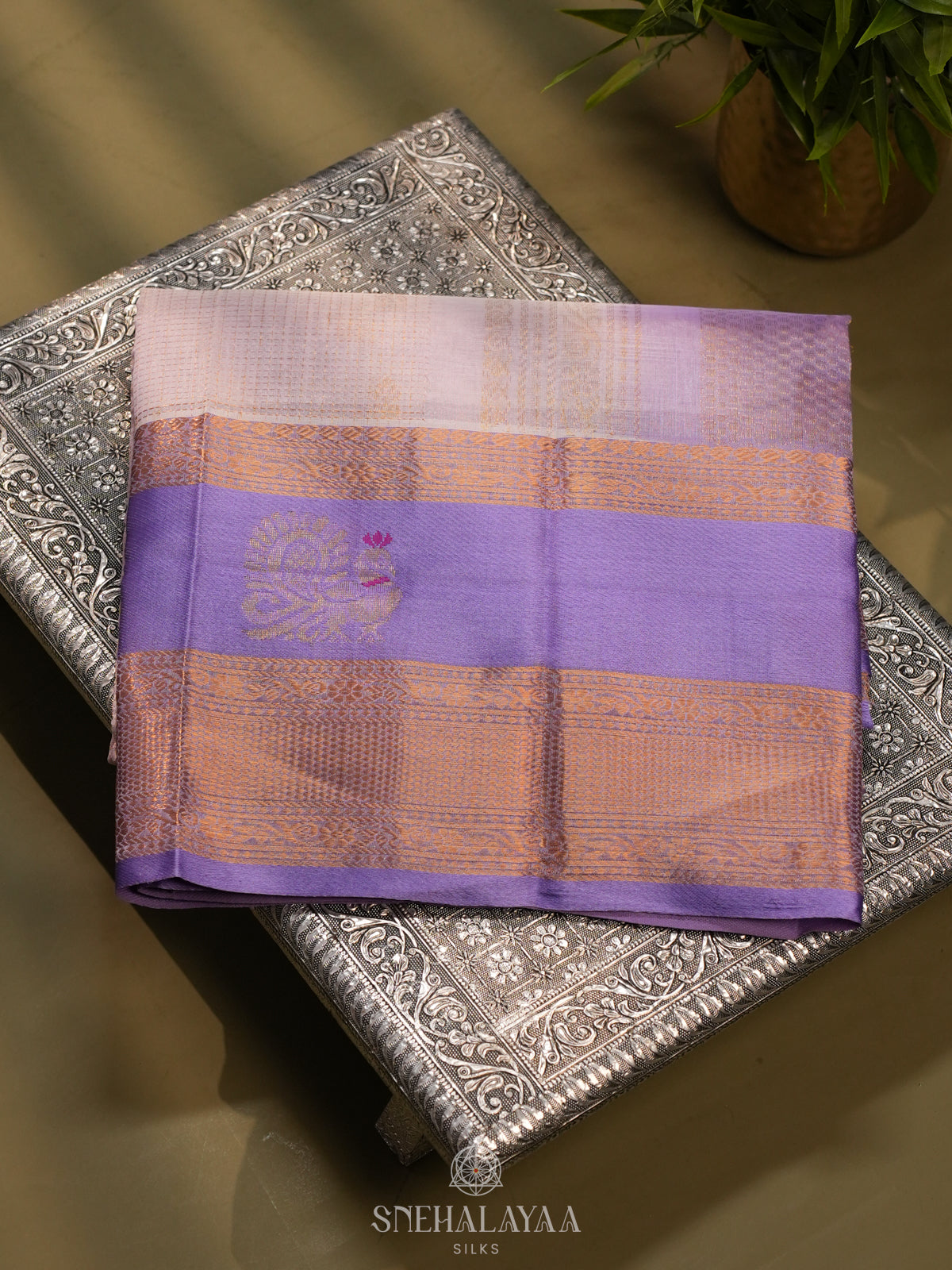 Lavender Kanchi Silk Cotton Saree