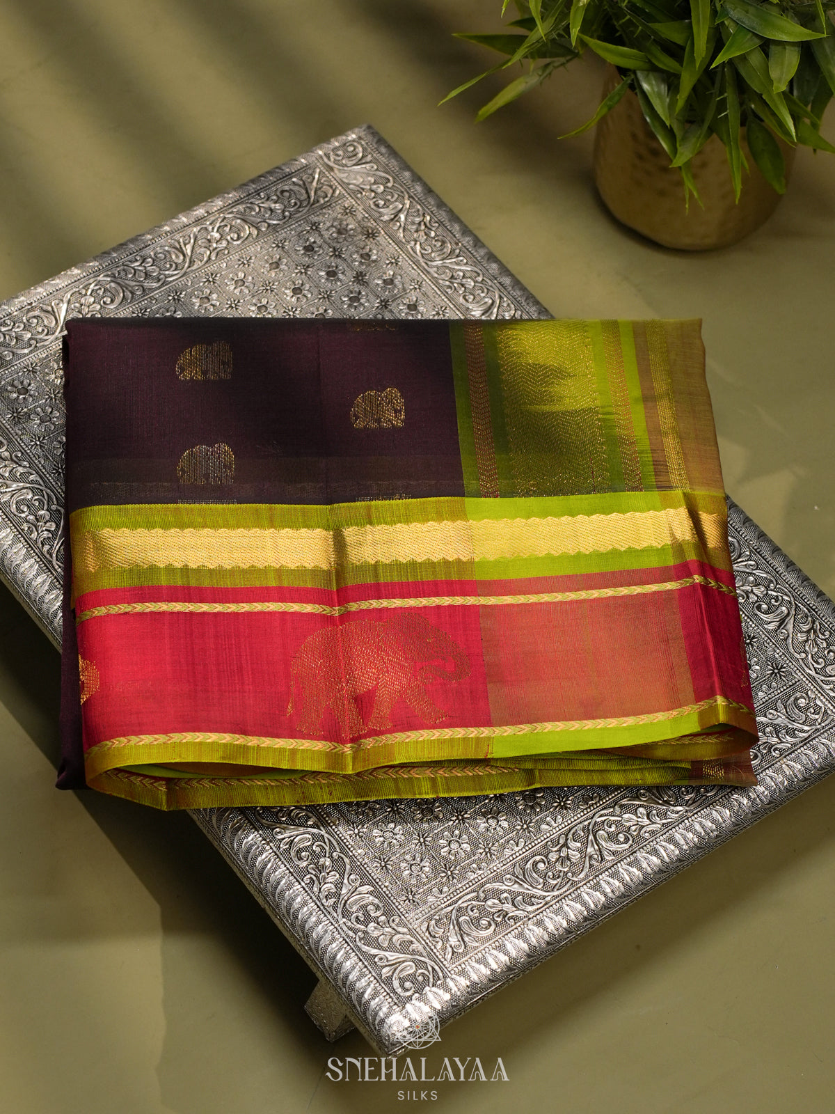 Wine Kanchi Silk Cotton Saree