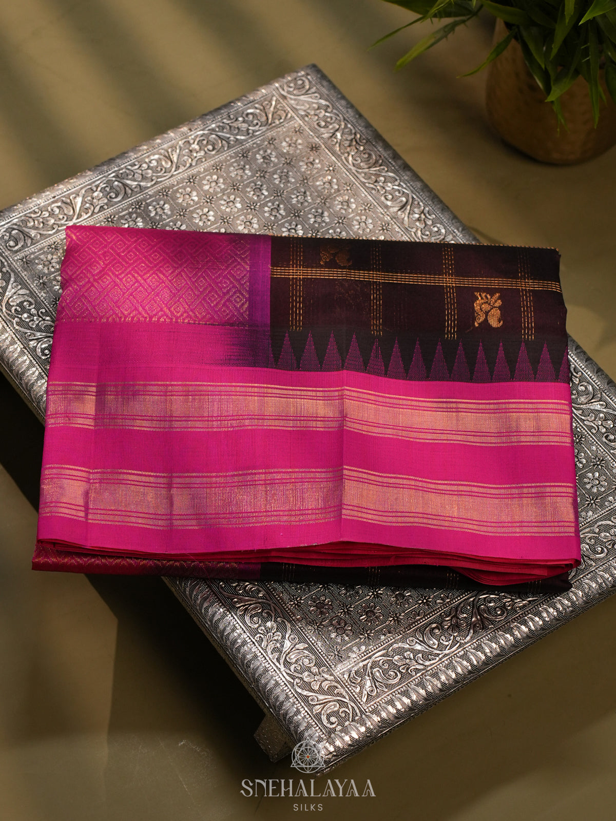 Coffee Brown Kanchi Silk Cotton Saree