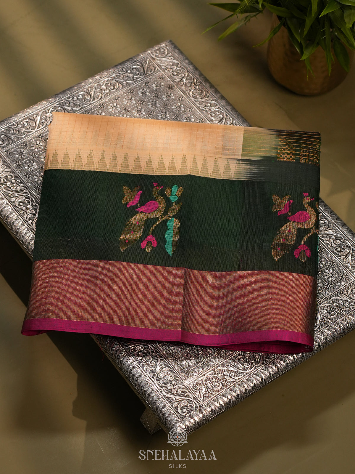 Cream Kanchi Silk Cotton Saree