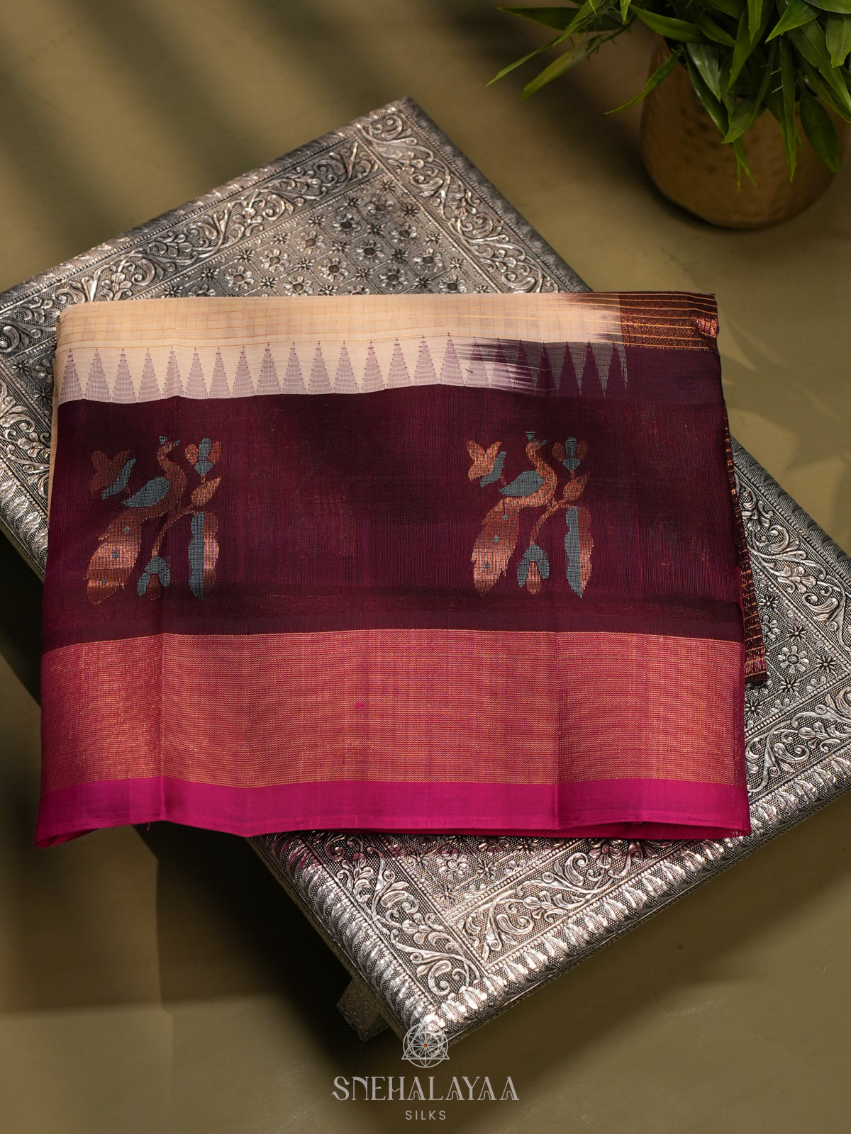 Cream Kanchi Silk Cotton Saree