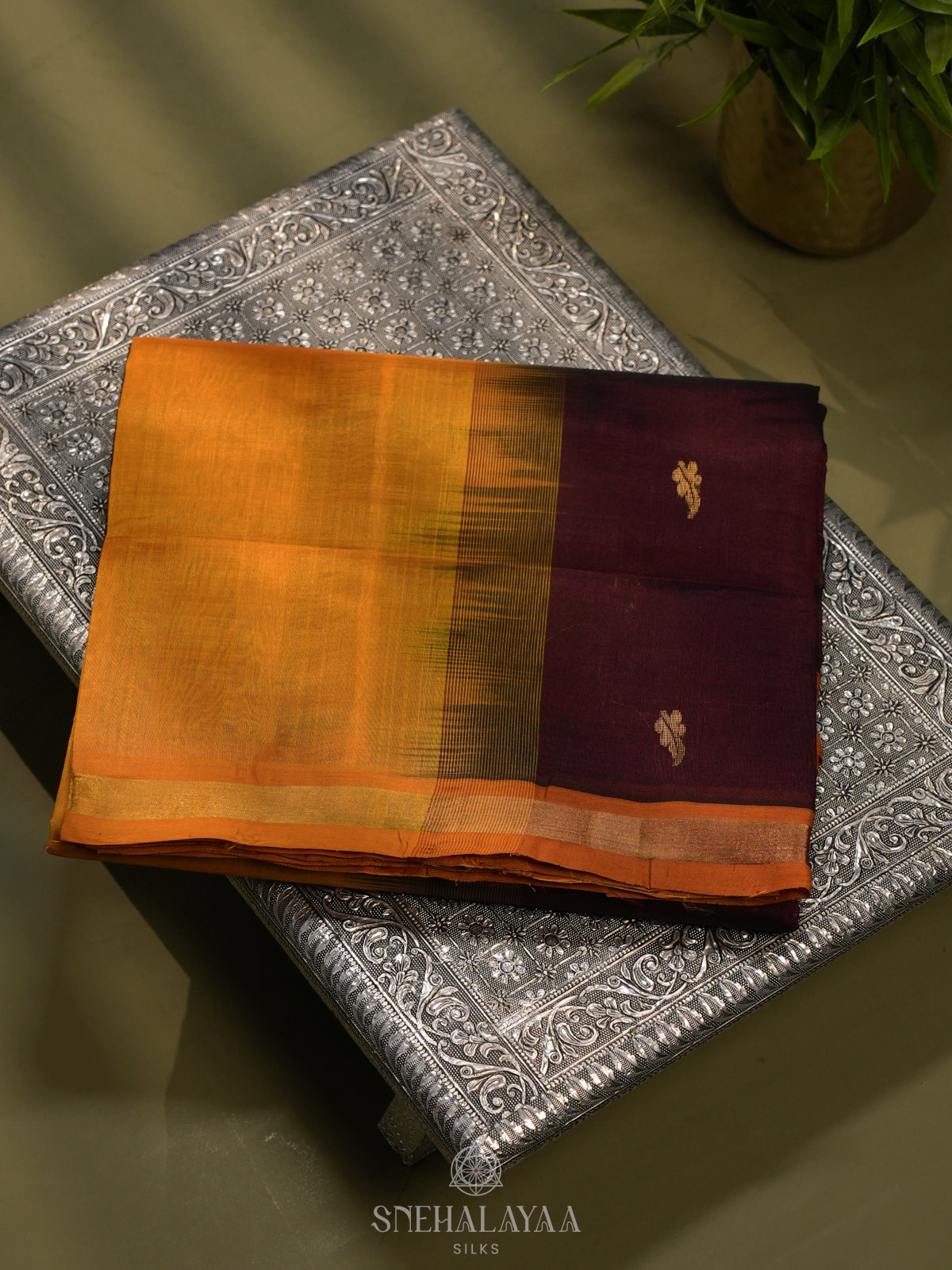 Coffee Brown Kanchi Silk Cotton Saree