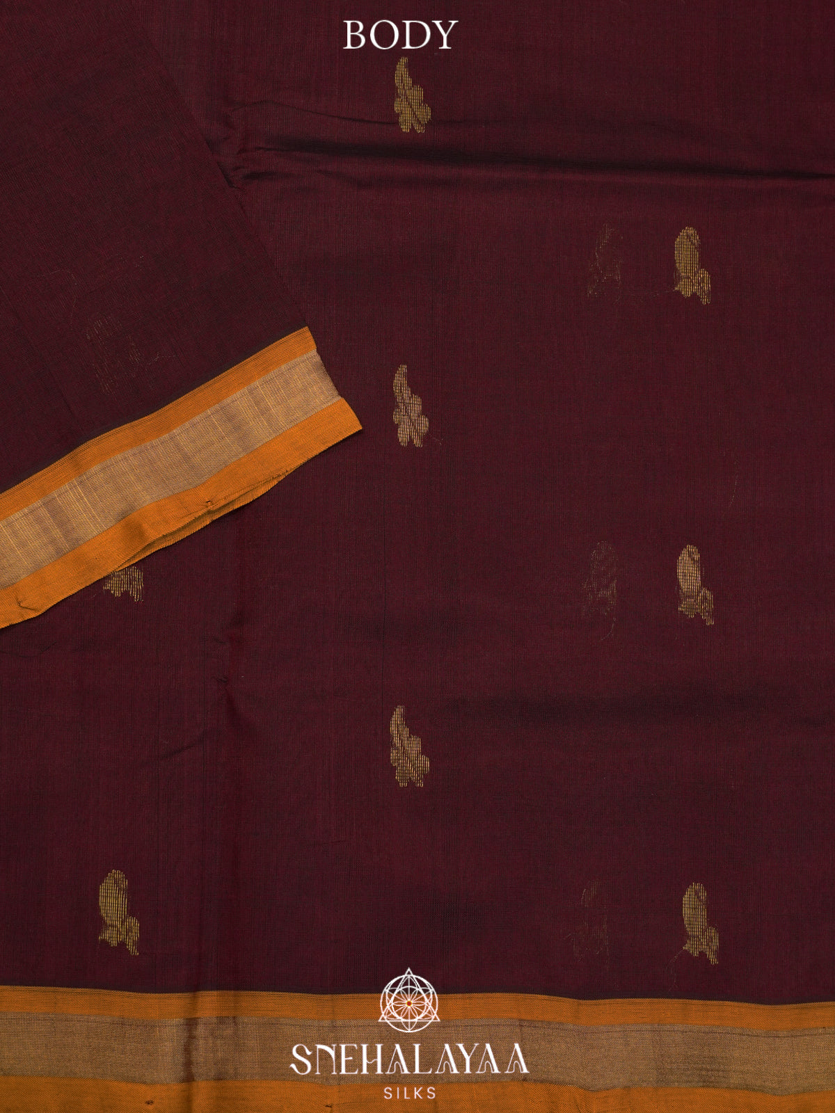 Coffee Brown Kanchi Silk Cotton Saree