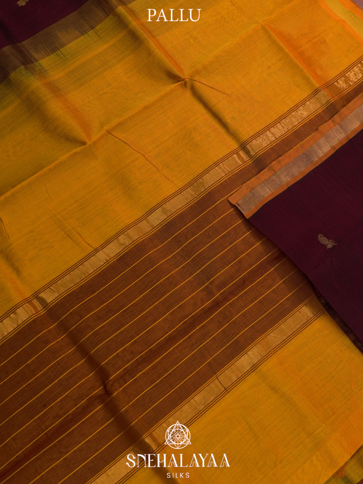 Coffee Brown Kanchi Silk Cotton Saree