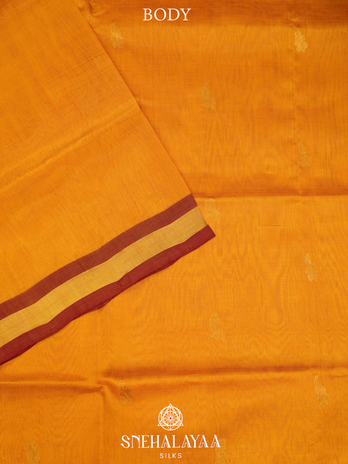 Mango Yellow Kanchi Silk Cotton Saree