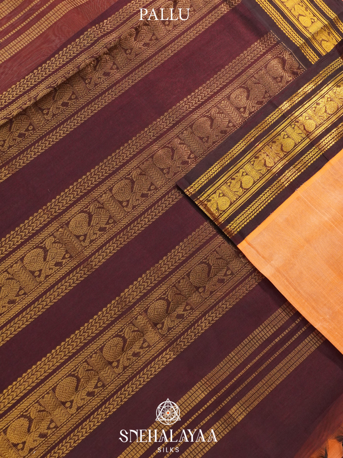 Orange Kanchi Silk Cotton Saree
