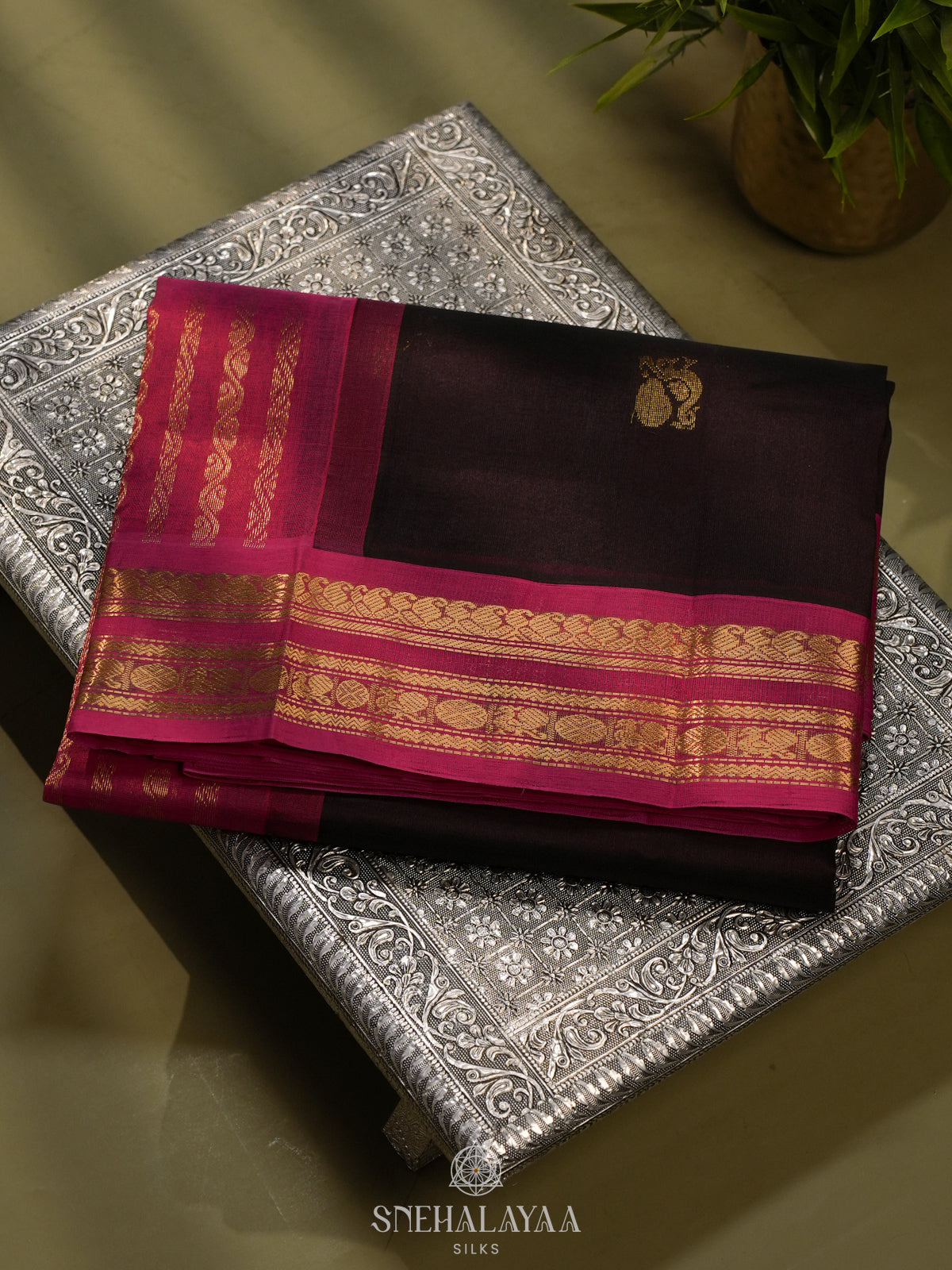 Coffee Brown Kanchi Silk Cotton Saree