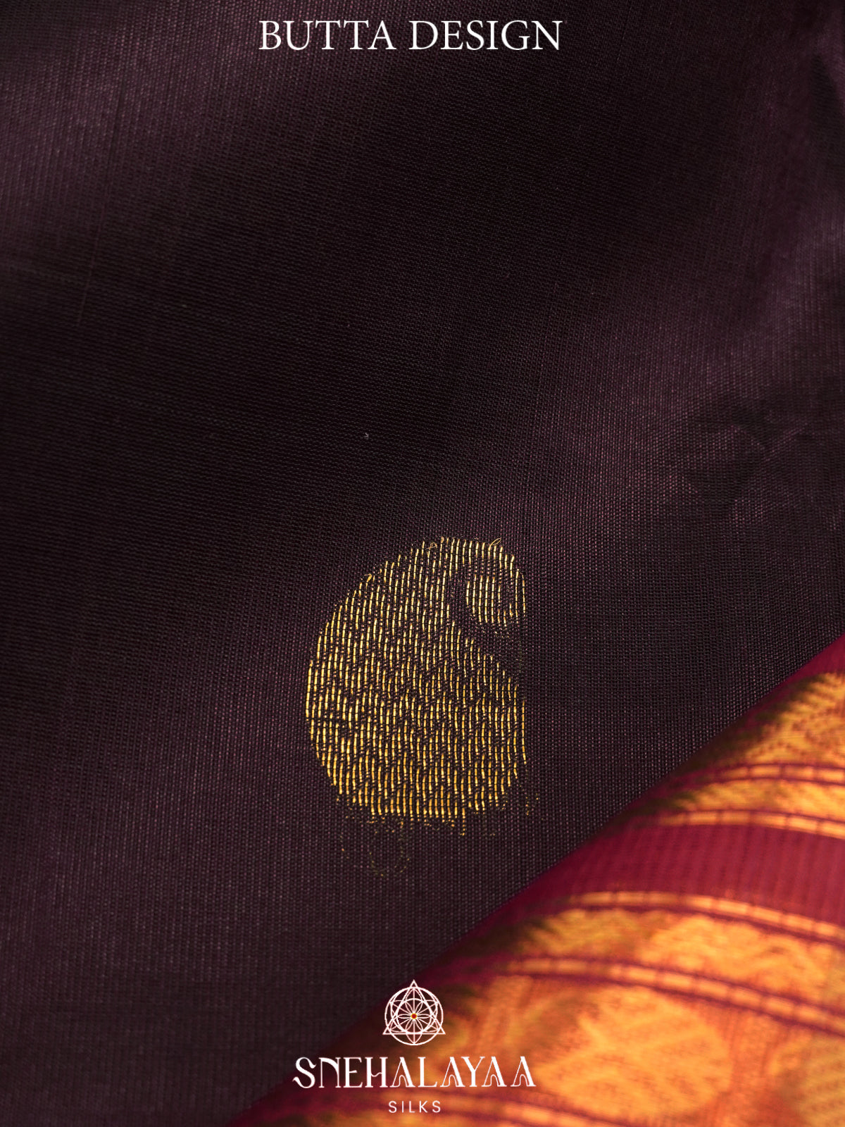 Coffee Brown Kanchi Silk Cotton Saree