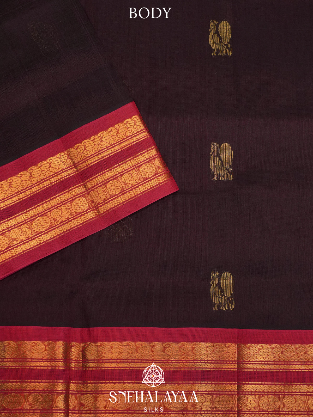 Coffee Brown Kanchi Silk Cotton Saree