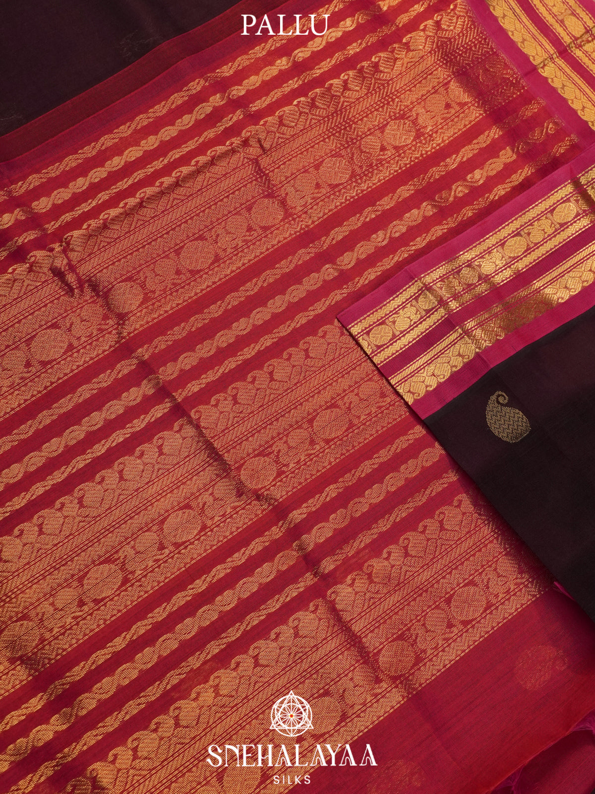 Coffee Brown Kanchi Silk Cotton Saree