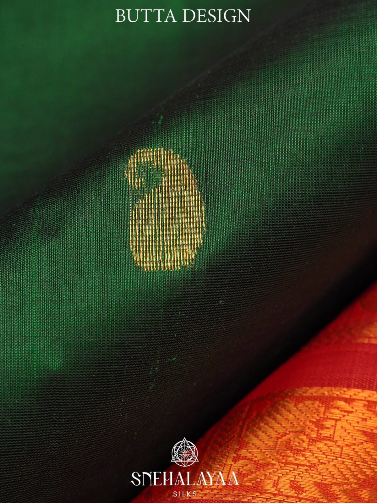 Forest Green Kanchi Silk Cotton Saree