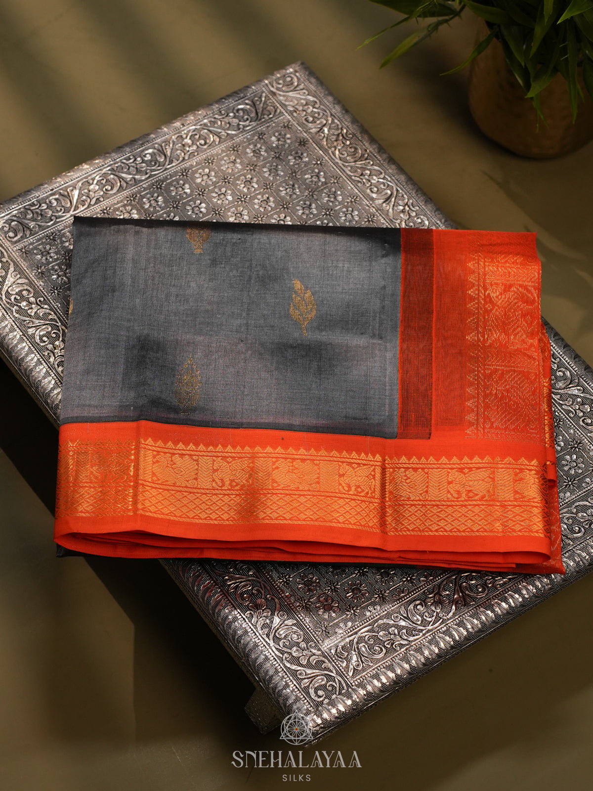 Grey Kanchi Silk Cotton Saree