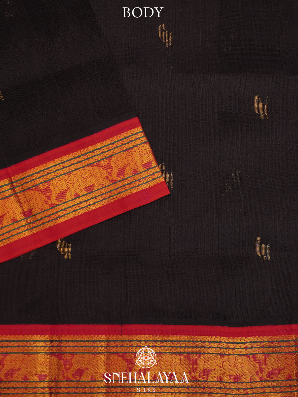 Black Kanchi Silk Cotton Saree