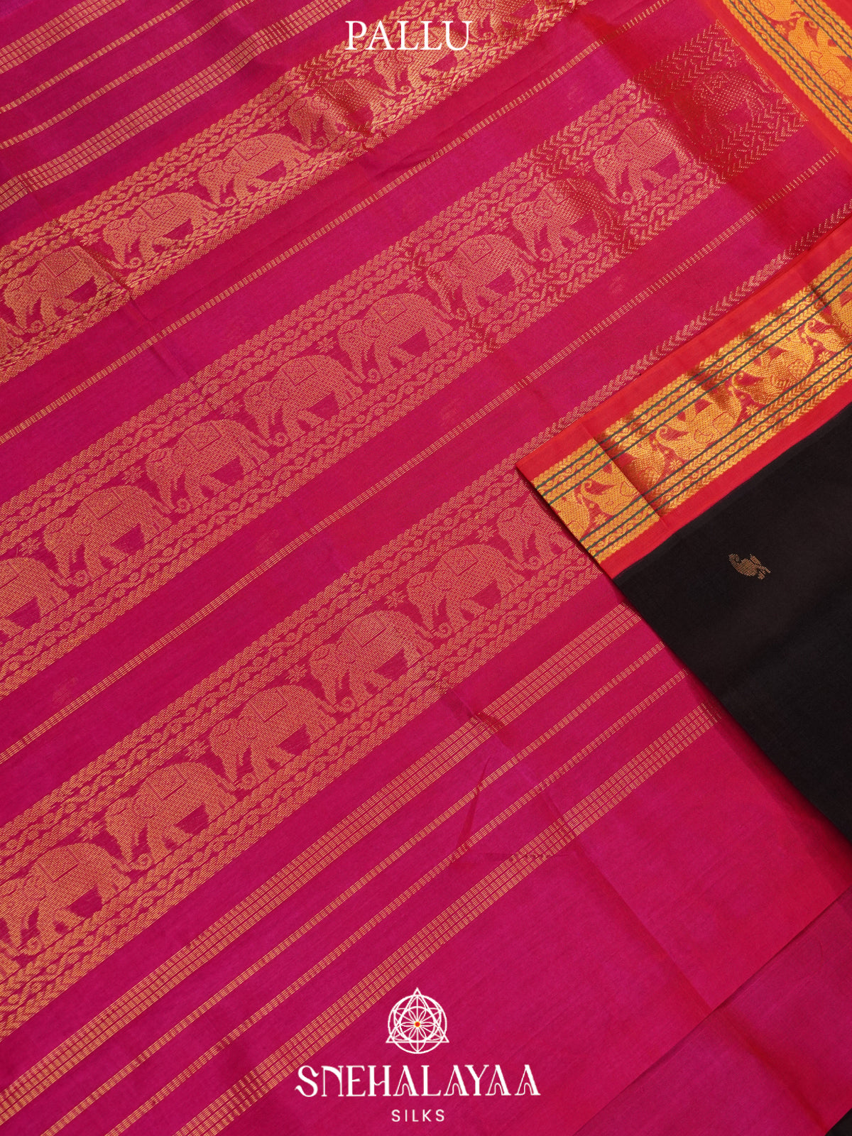 Black Kanchi Silk Cotton Saree