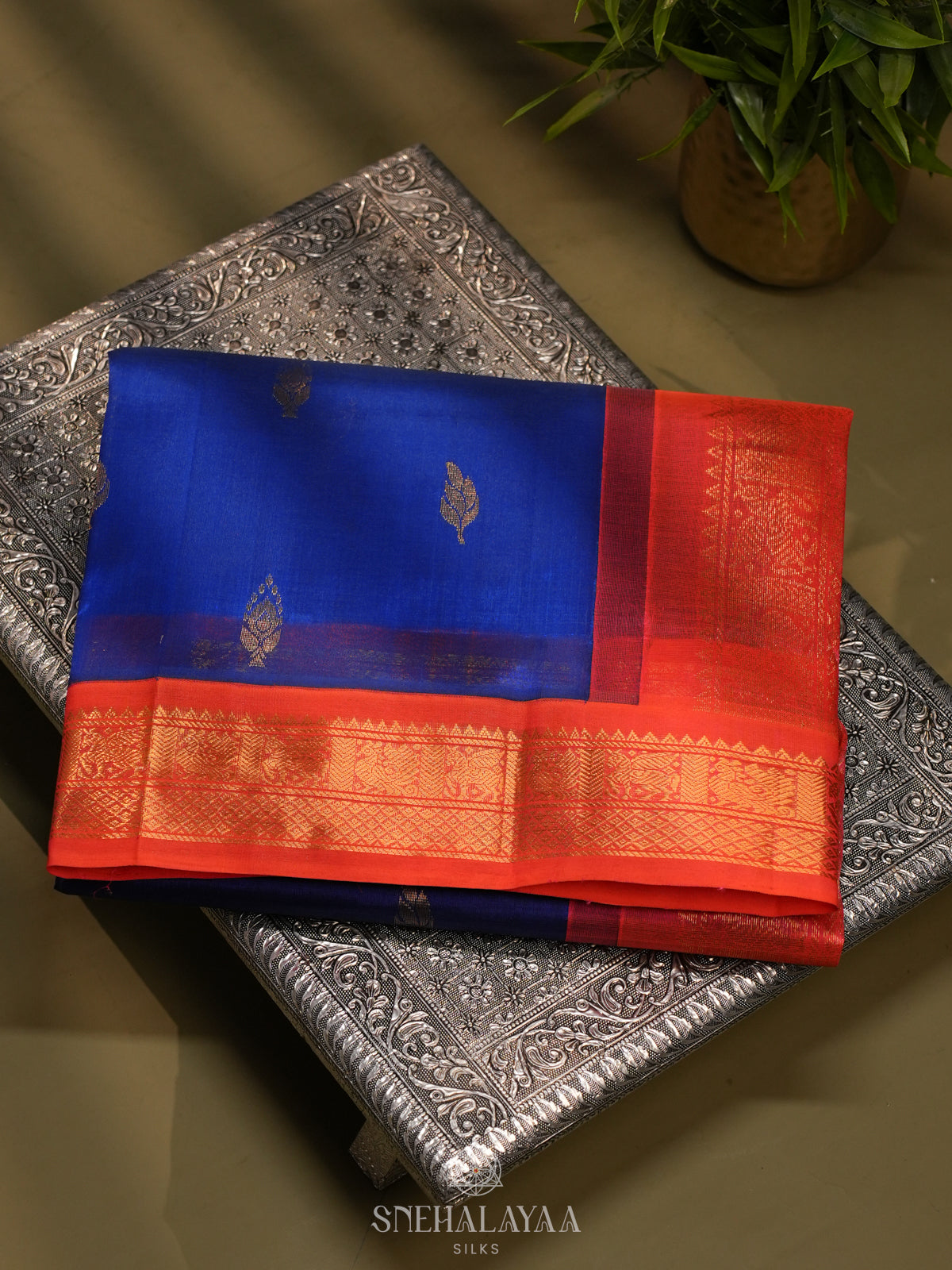 Royal Blue Kanchi Silk Cotton Saree