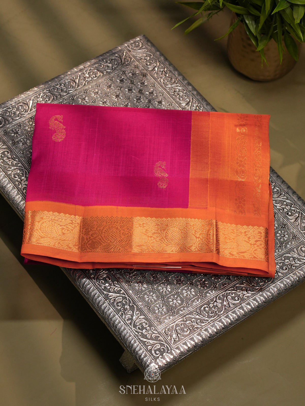 Pink  Kanchi Silk Cotton Saree