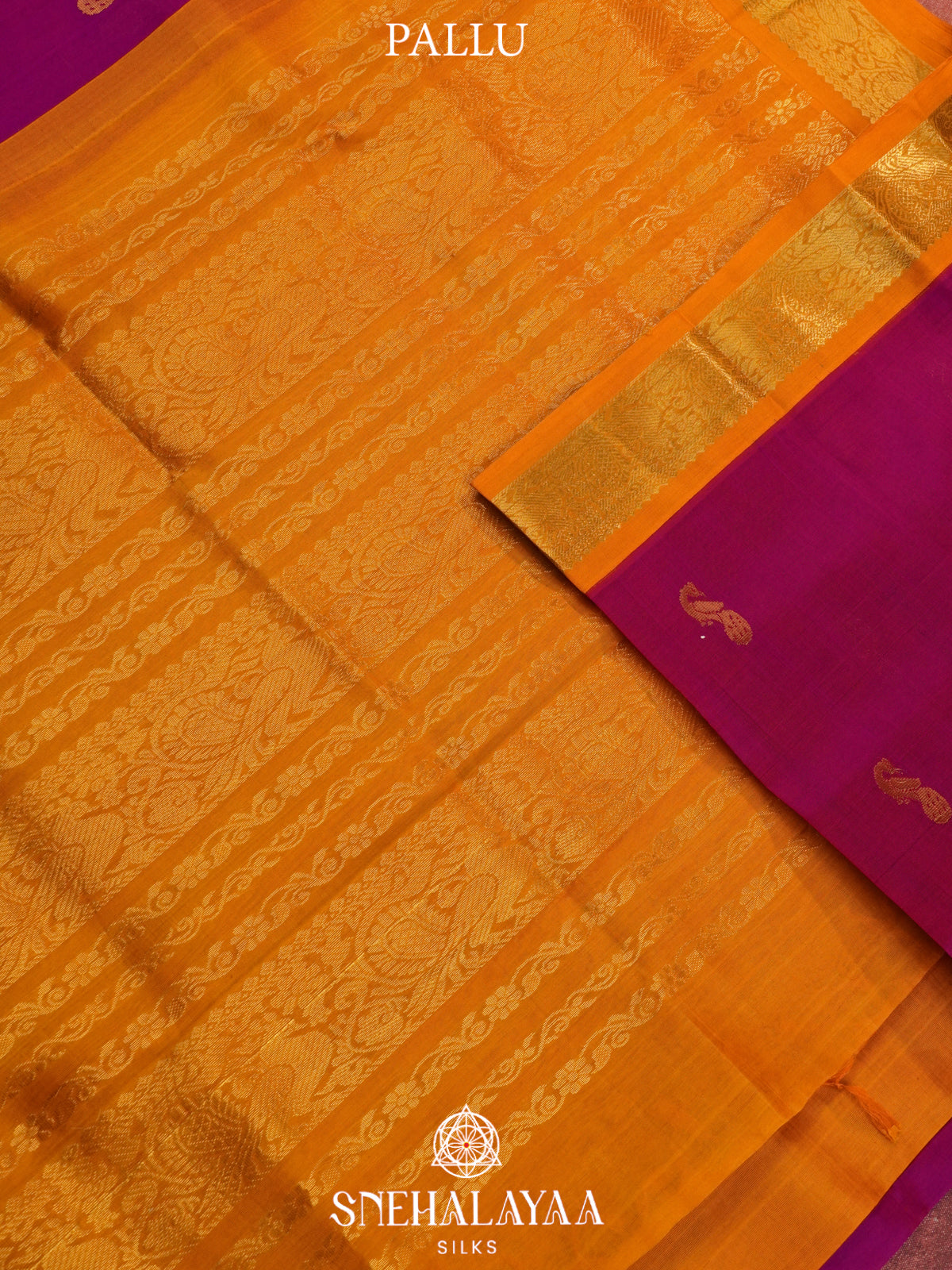 Pink  Kanchi Silk Cotton Saree