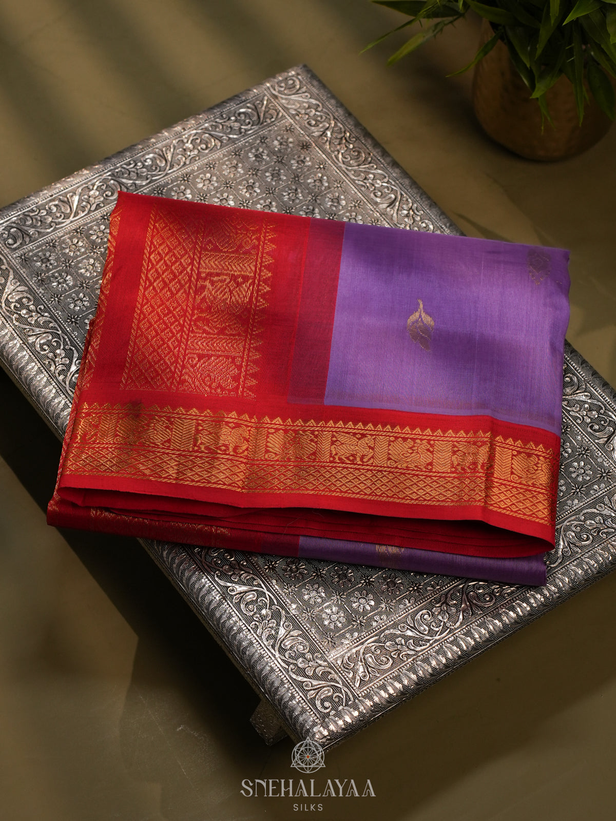 Lilac Kanchi Silk Cotton Saree