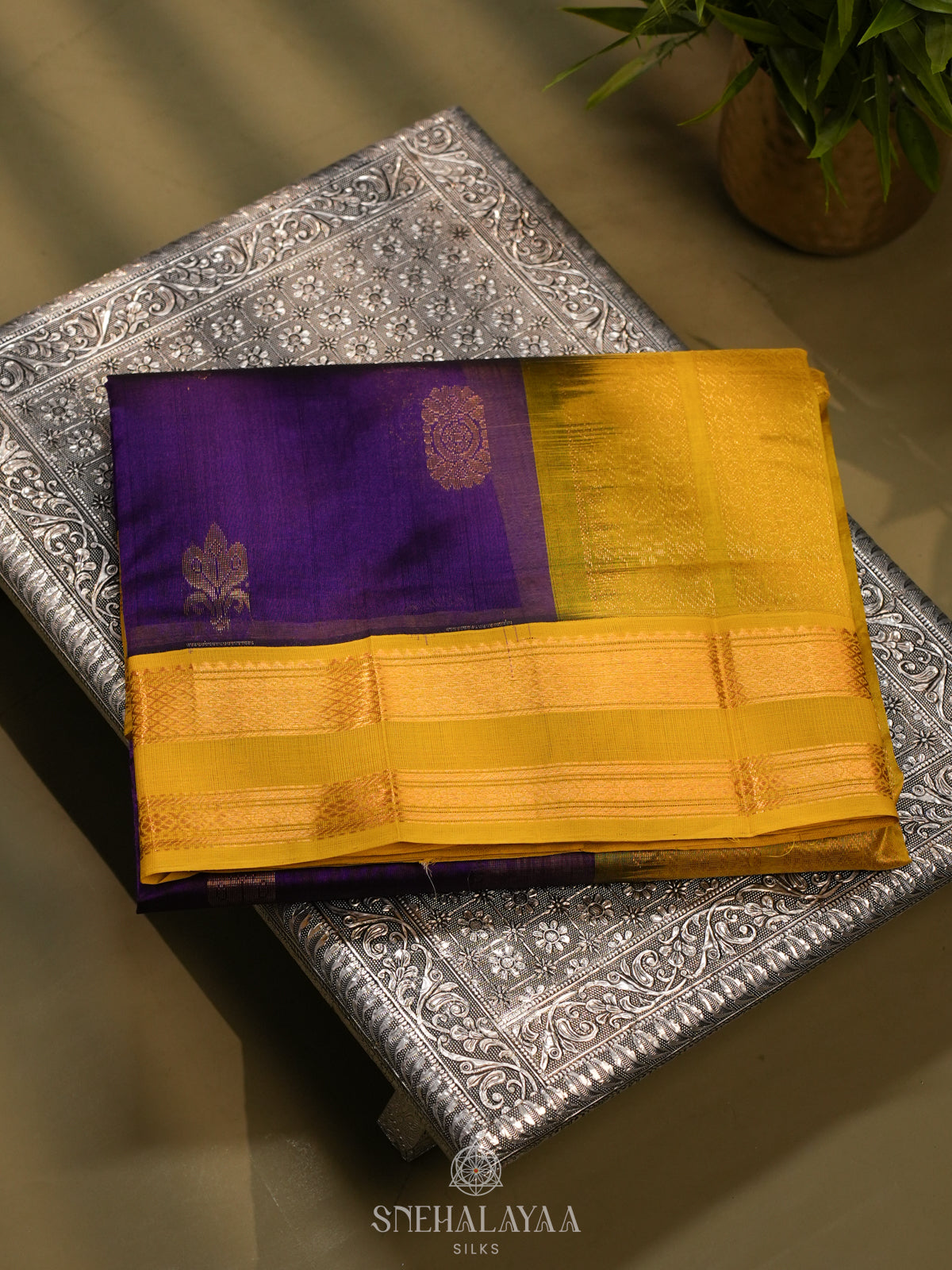 Violet Kanchi Silk Cotton Saree