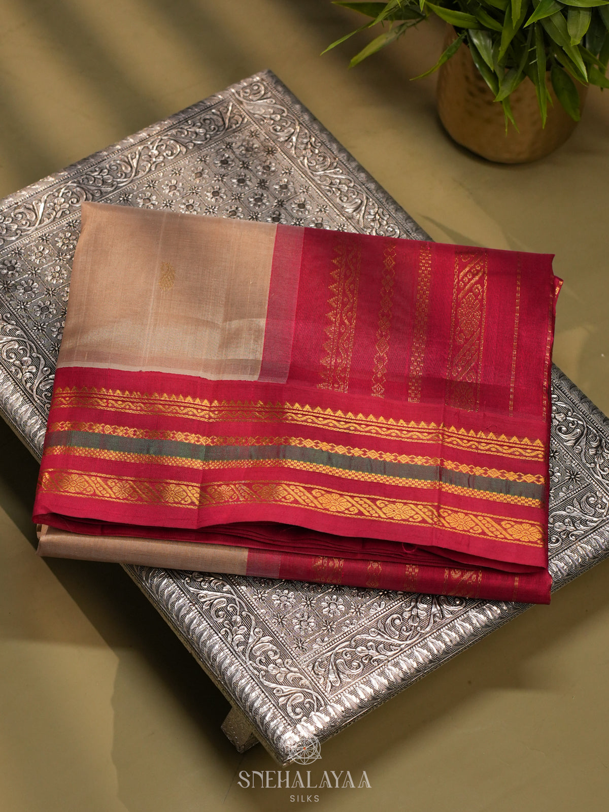 Beige Kanchi Silk Cotton Saree