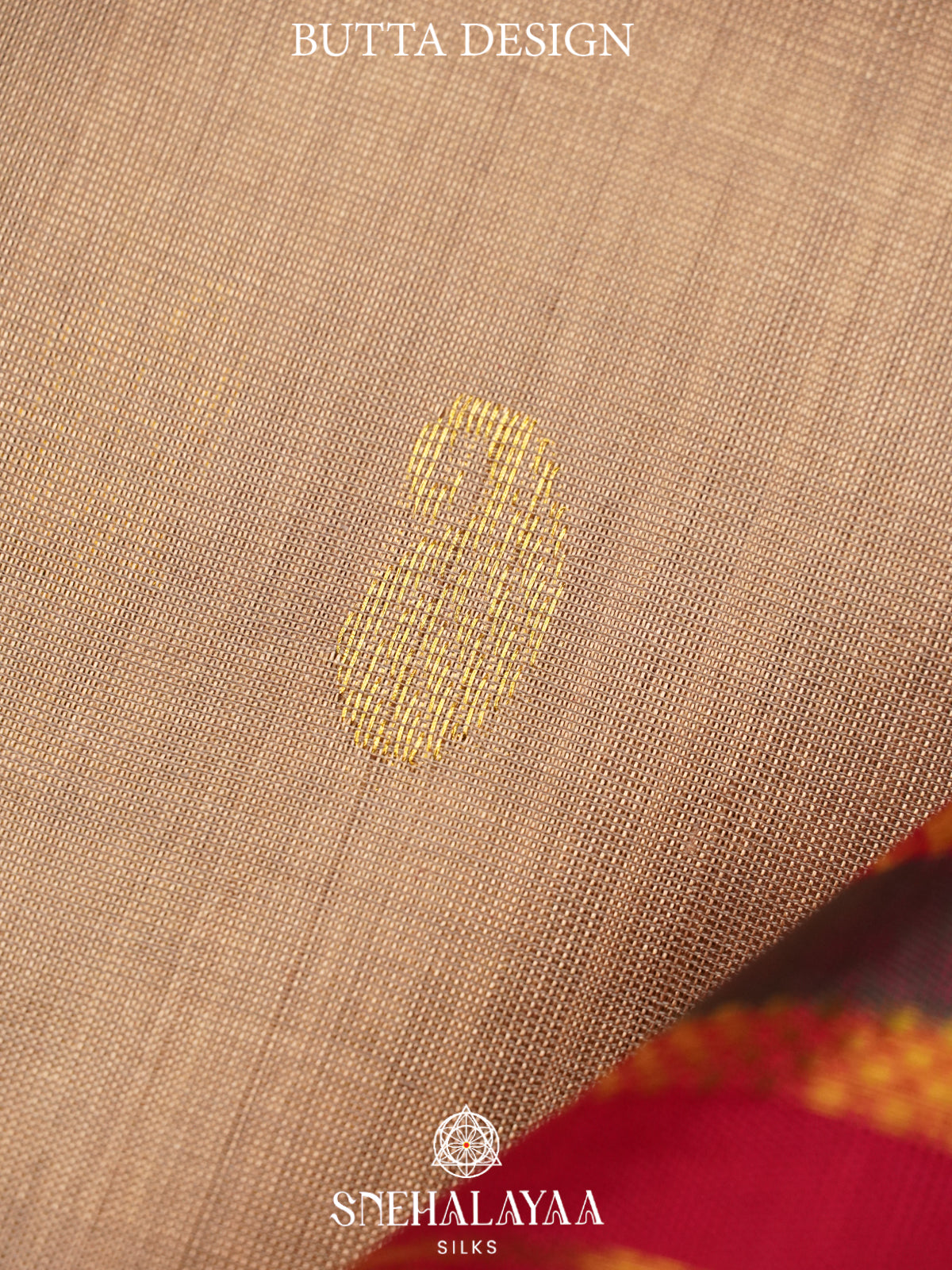 Beige Kanchi Silk Cotton Saree