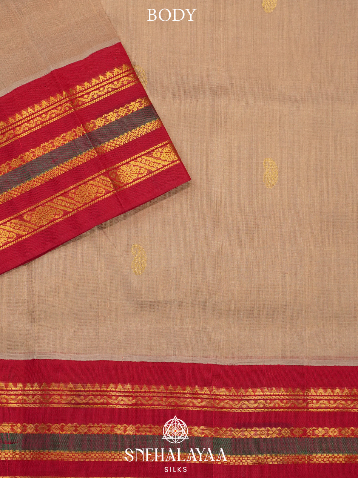 Beige Kanchi Silk Cotton Saree