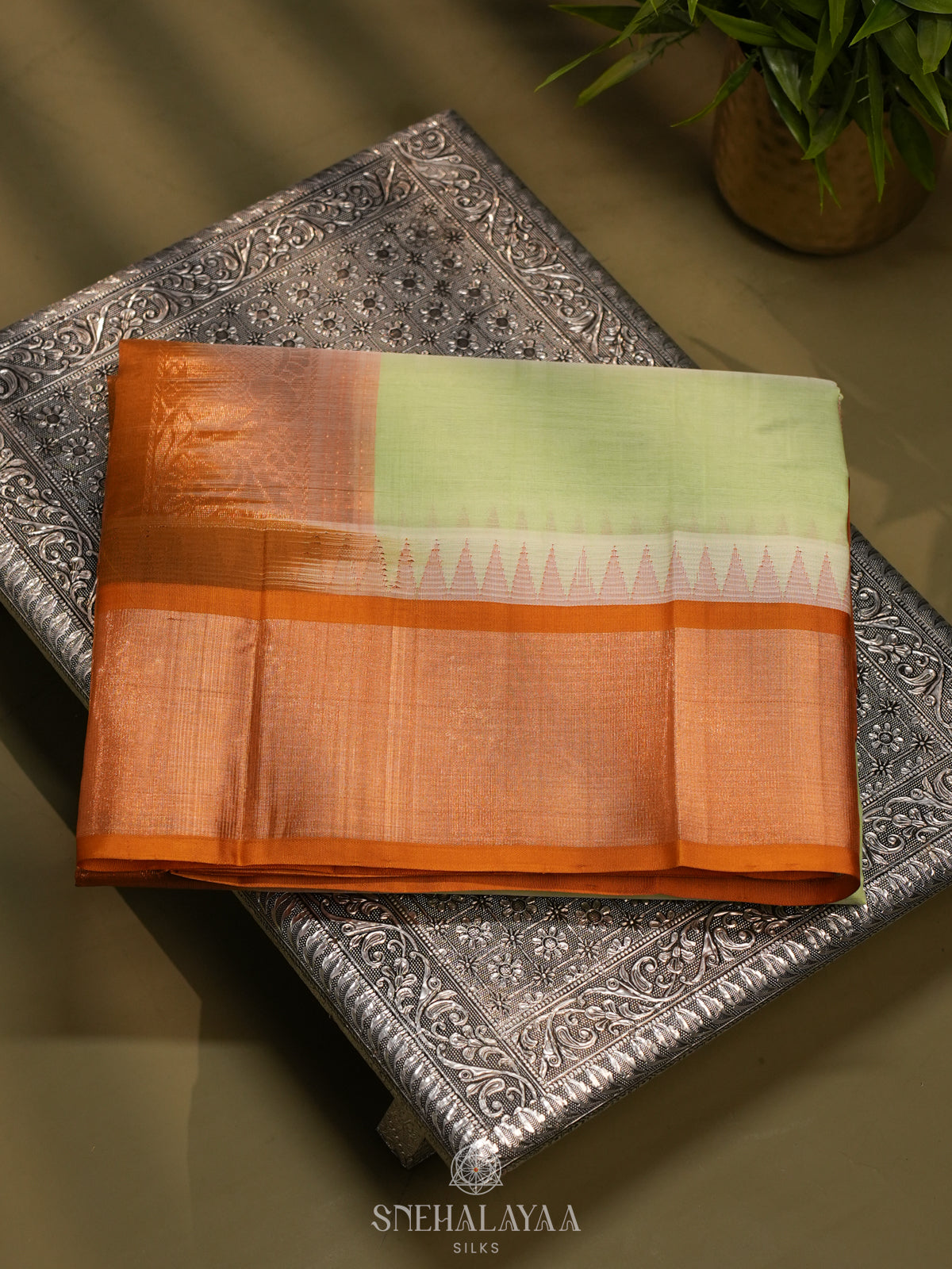 Pale Green Kanchi Silk Cotton Saree