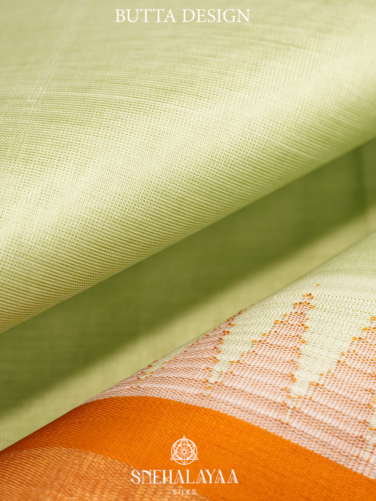 Pale Green Kanchi Silk Cotton Saree