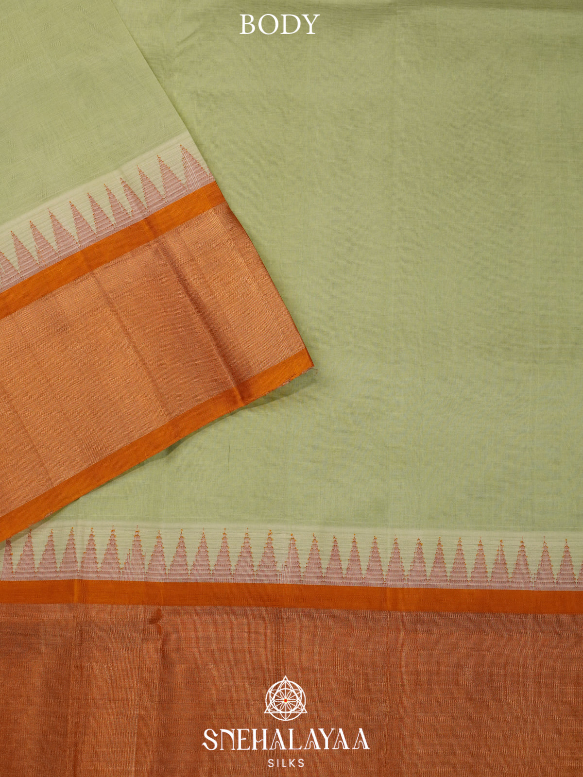 Pale Green Kanchi Silk Cotton Saree