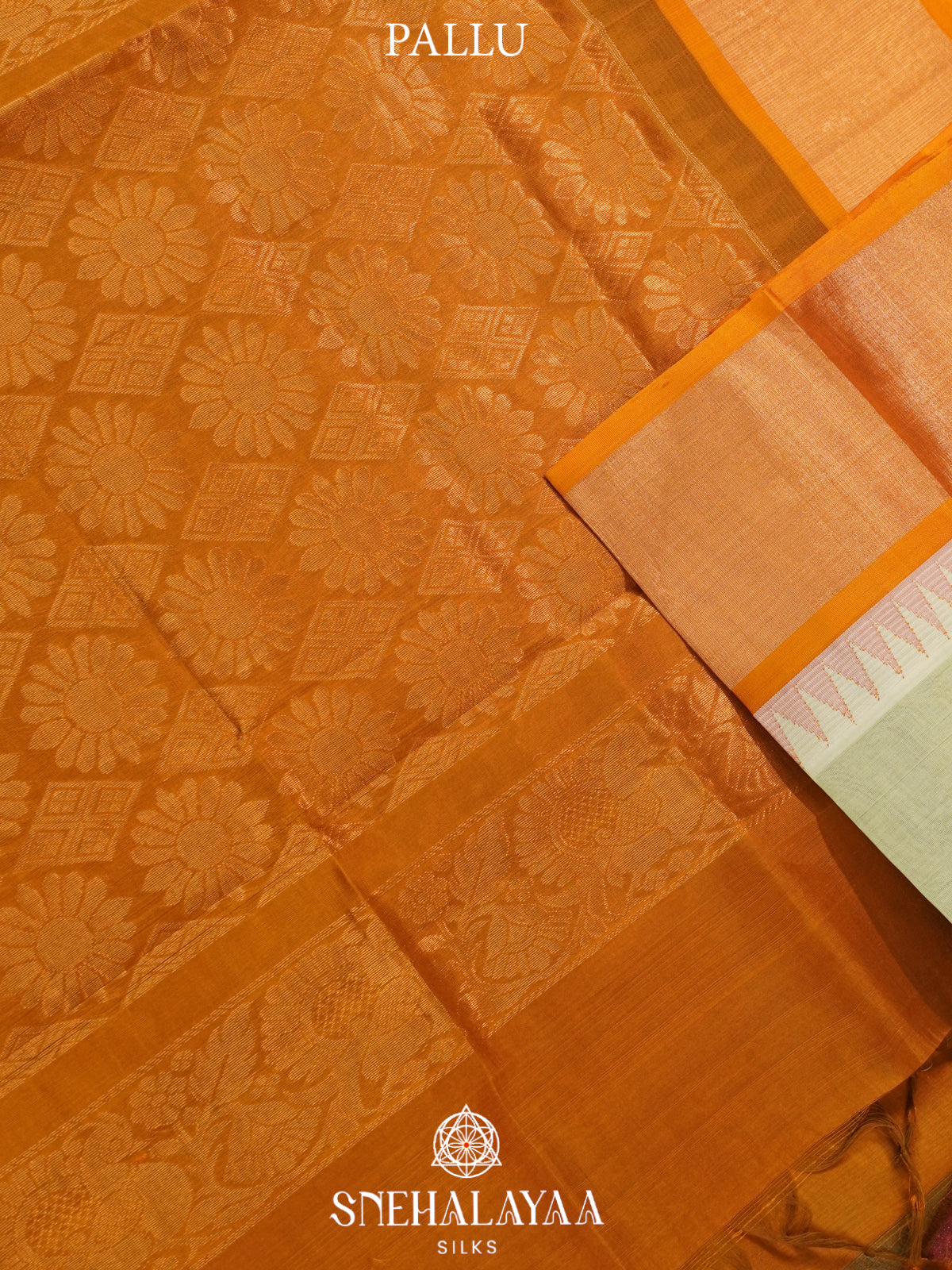 Pale Green Kanchi Silk Cotton Saree