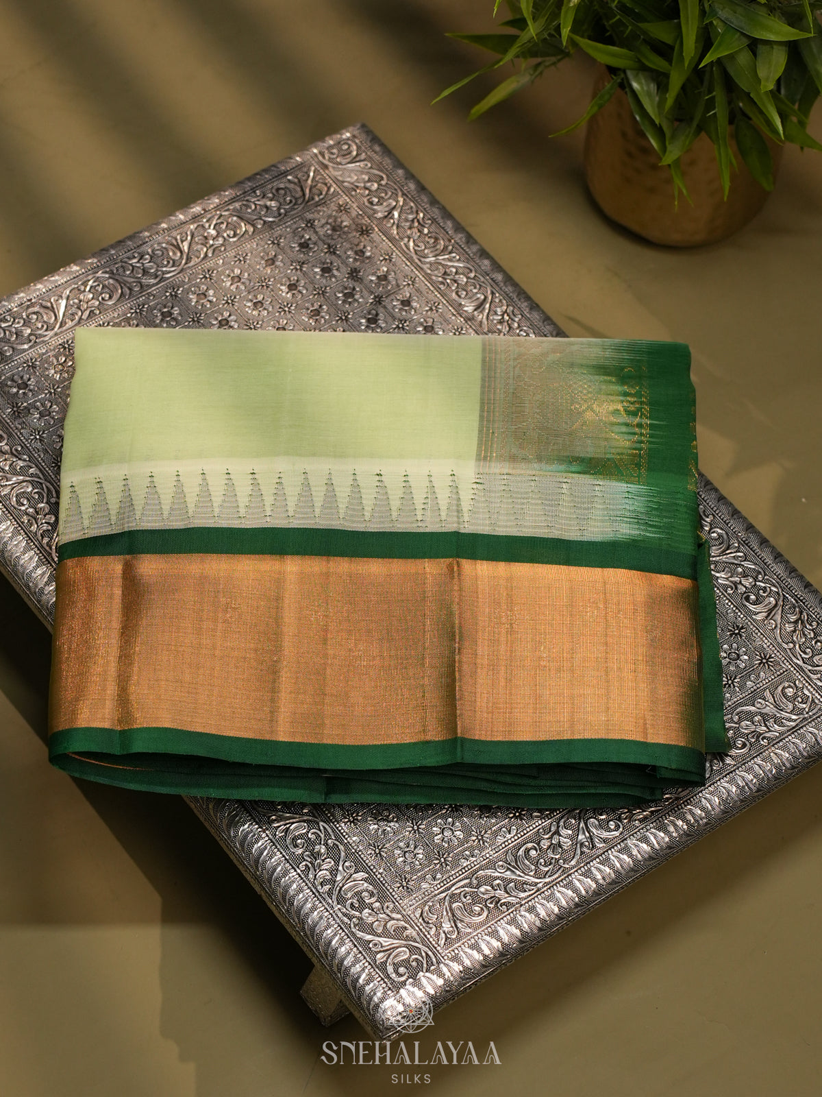 Pale Green Kanchi Silk Cotton Saree