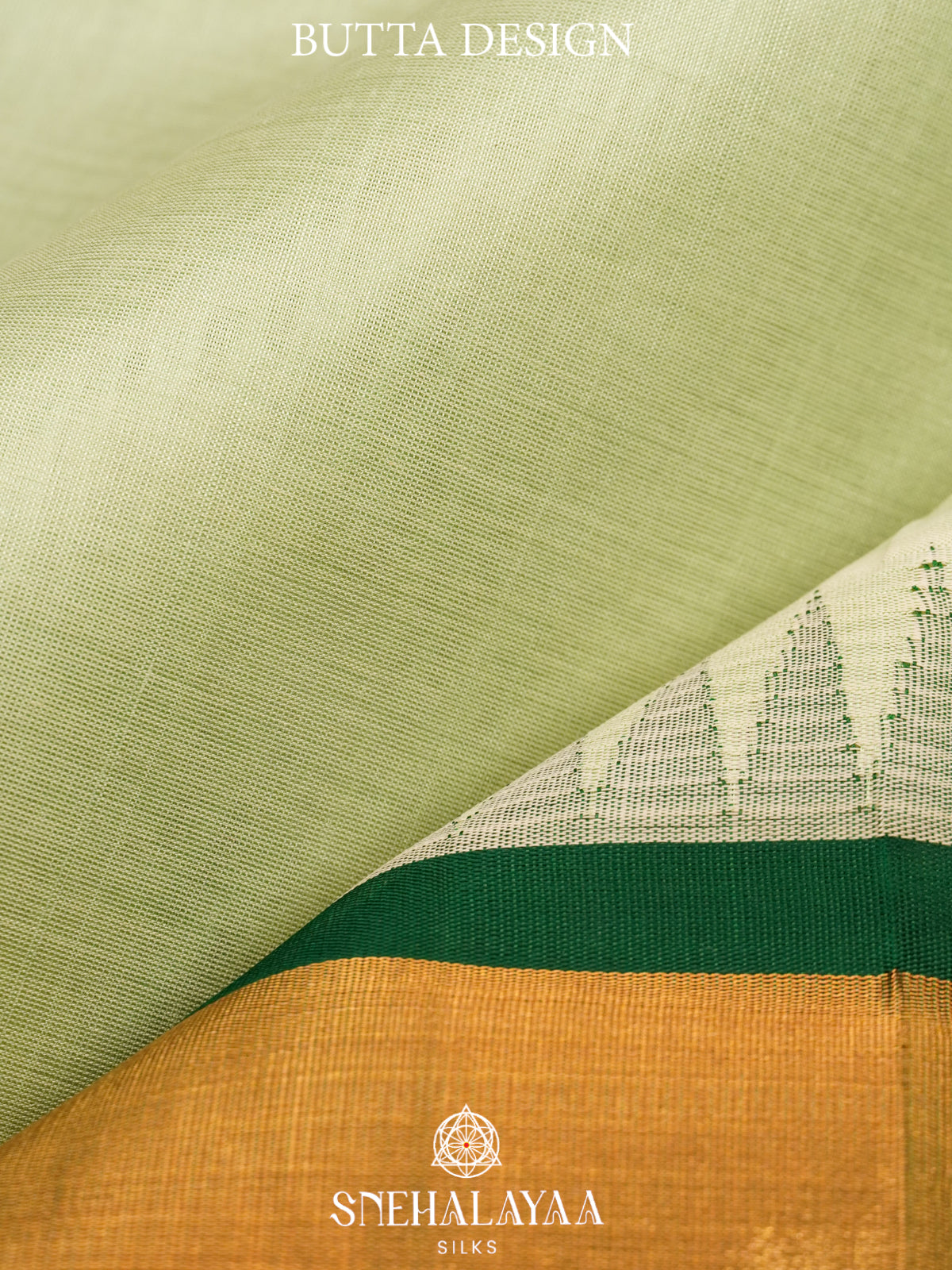 Pale Green Kanchi Silk Cotton Saree
