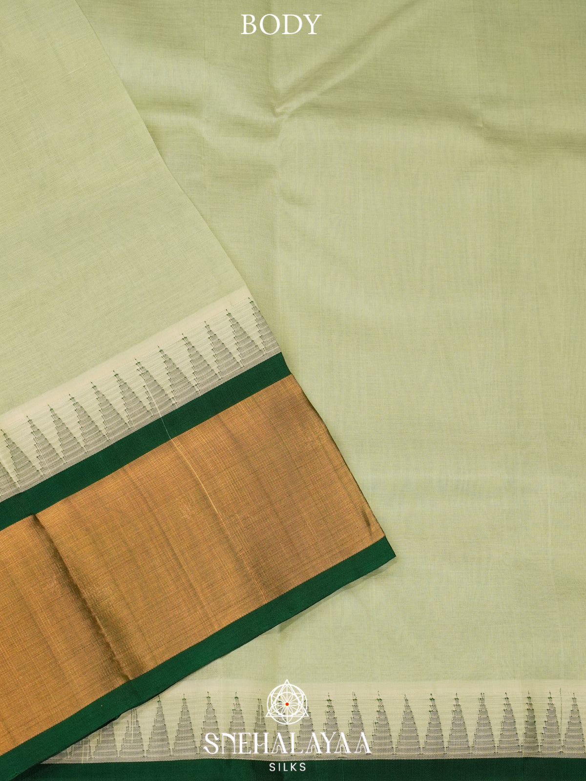 Pale Green Kanchi Silk Cotton Saree