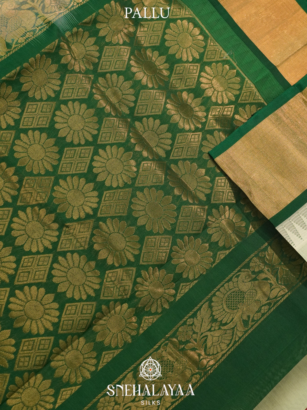 Pale Green Kanchi Silk Cotton Saree