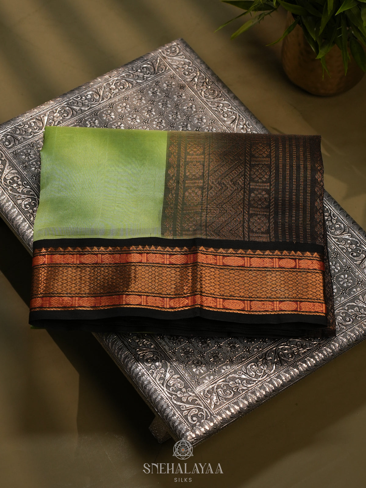 Pista Green Kanchi Silk Cotton Saree