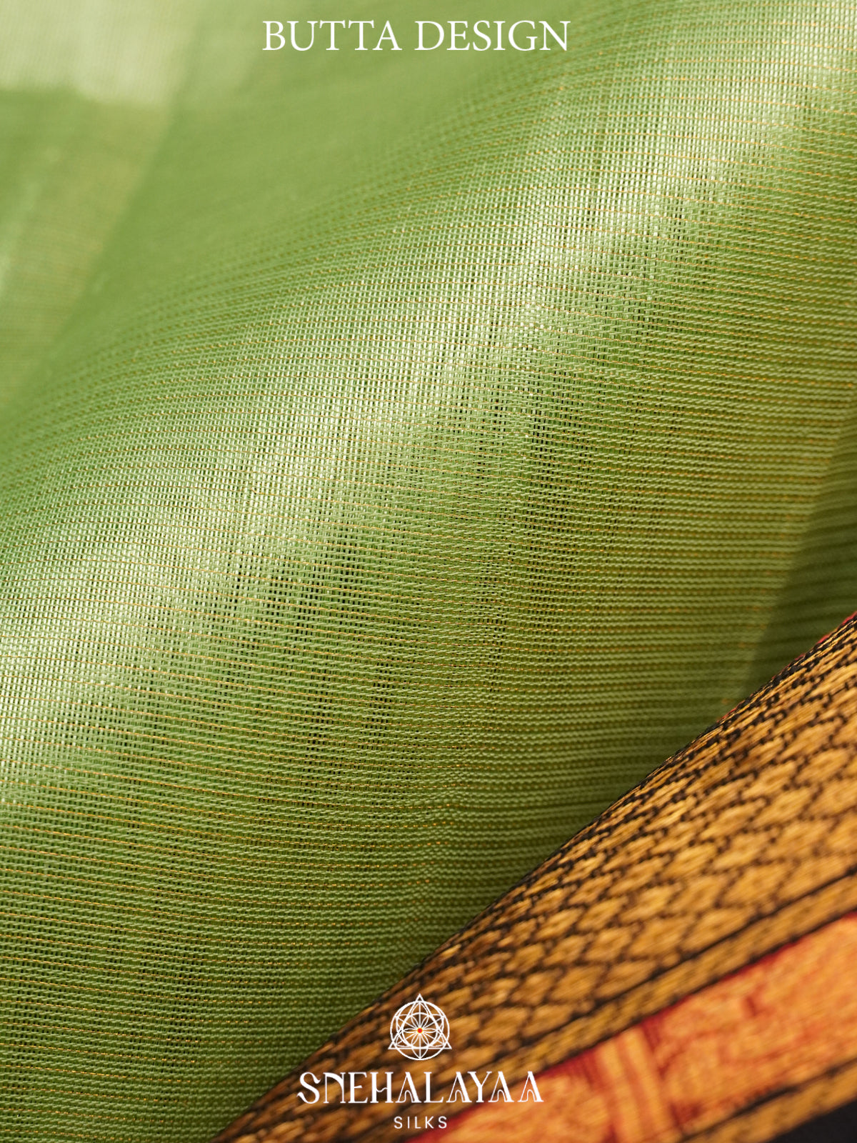 Pista Green Kanchi Silk Cotton Saree