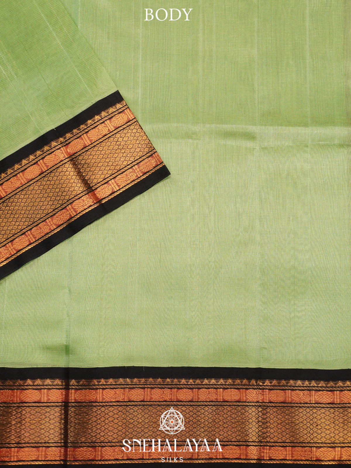 Pista Green Kanchi Silk Cotton Saree