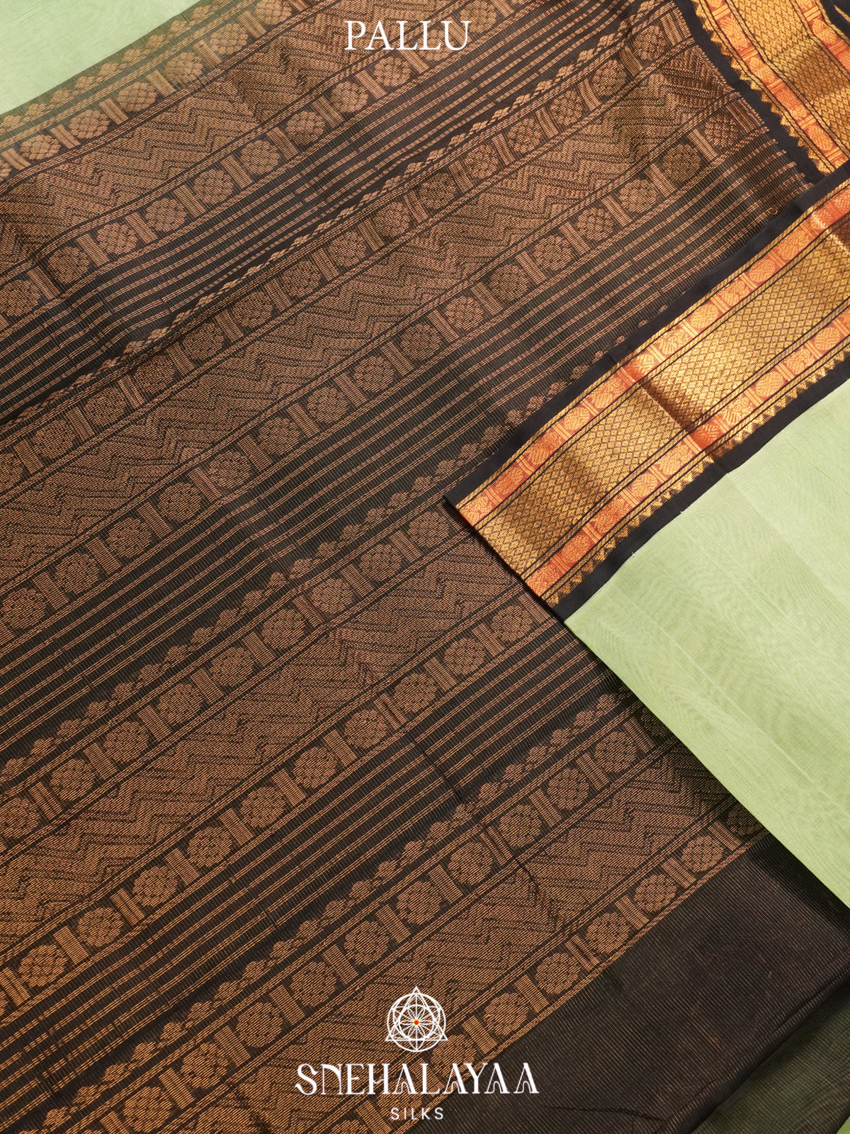 Pista Green Kanchi Silk Cotton Saree