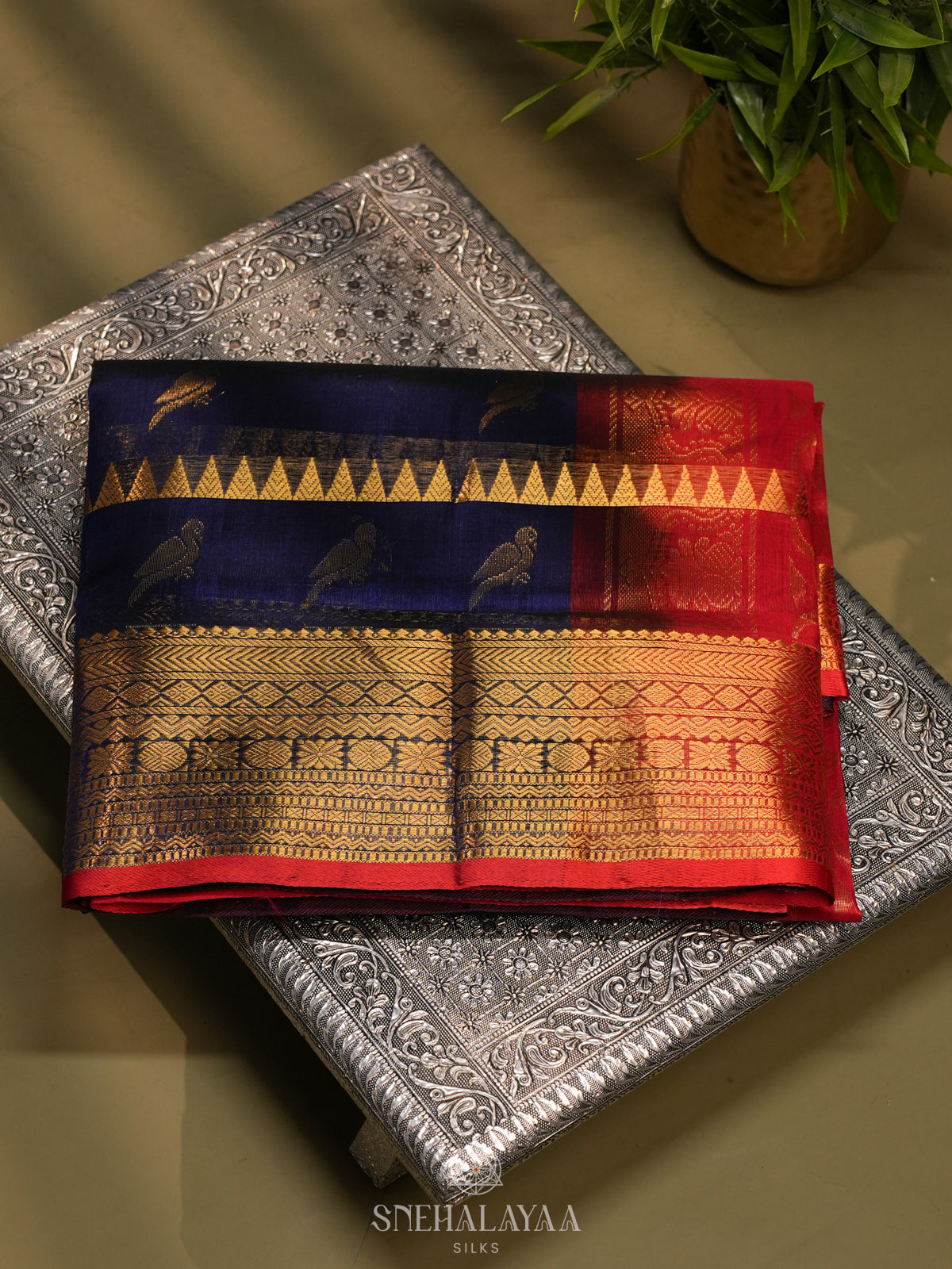 Purple Kanchi Silk Cotton Saree