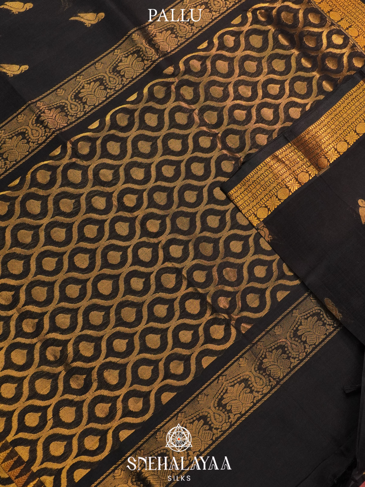 Charcol Black Kanchi Silk Cotton Saree