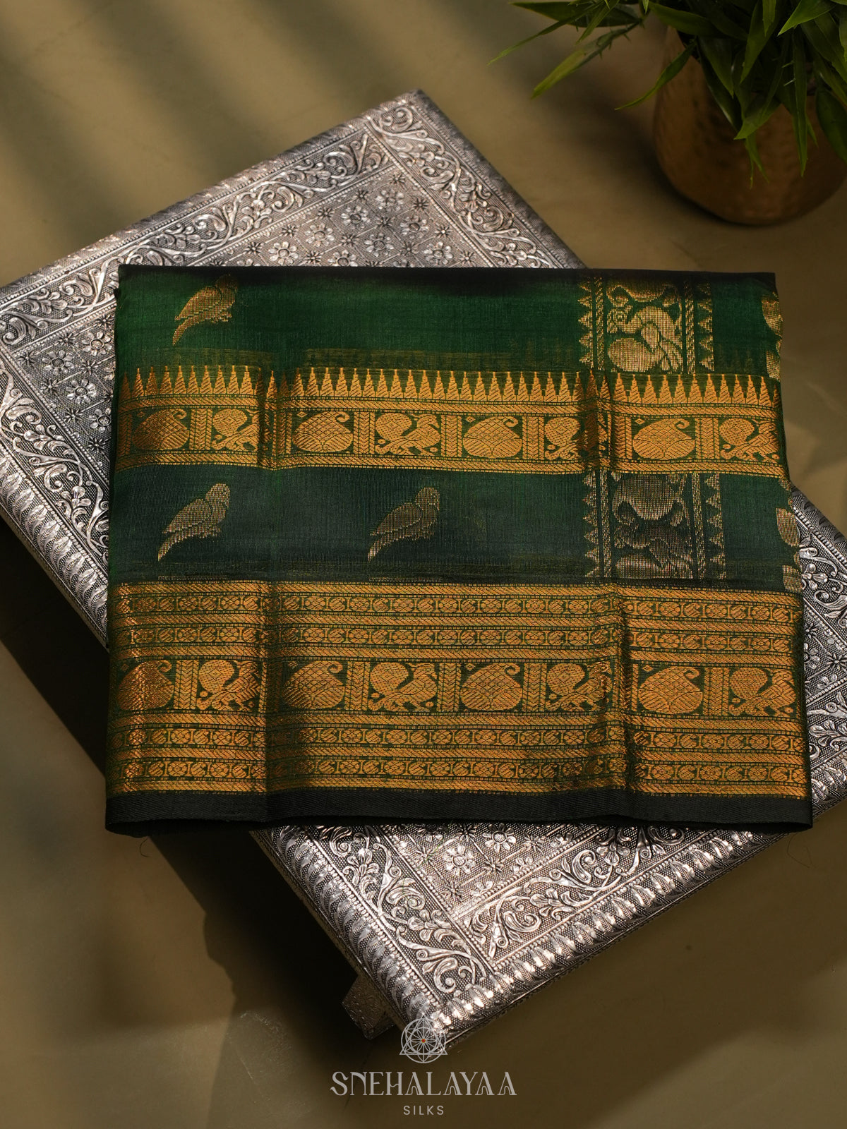 Forest Kanchi Silk Cotton Saree
