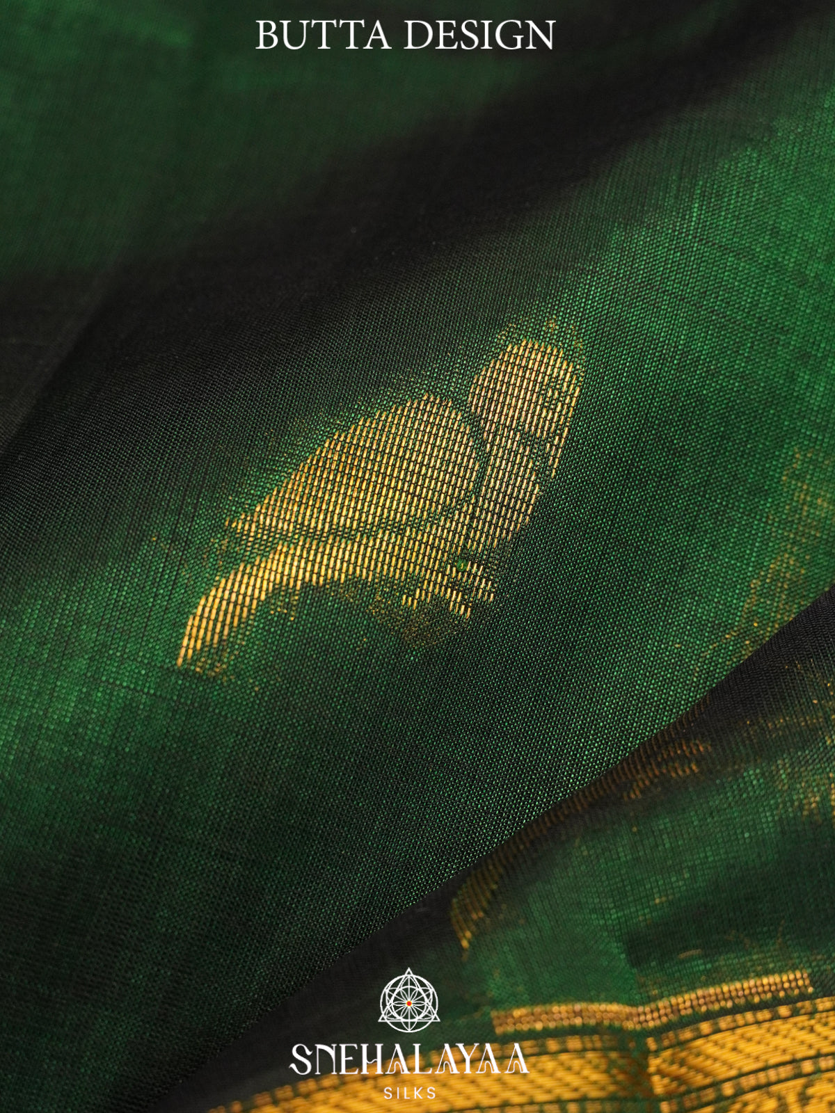 Forest Kanchi Silk Cotton Saree